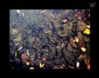dailyPhoto7